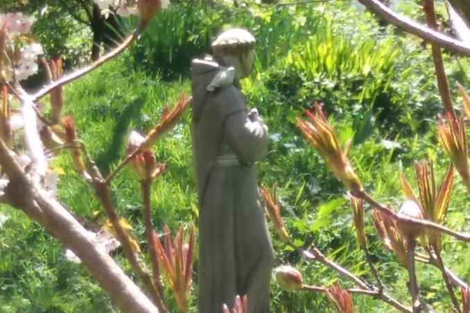 Coronavirus awakens us to essentials