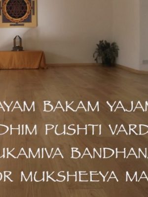 Chanting the Mrityunjaya&nbsp;Mantra.