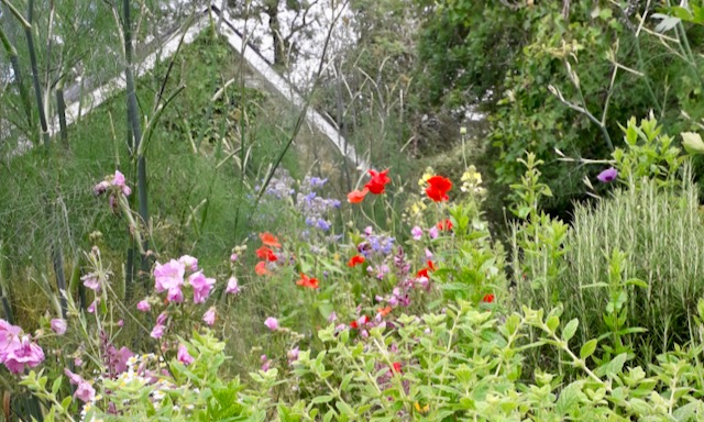 Portal to Consciousness&nbsp;(1)