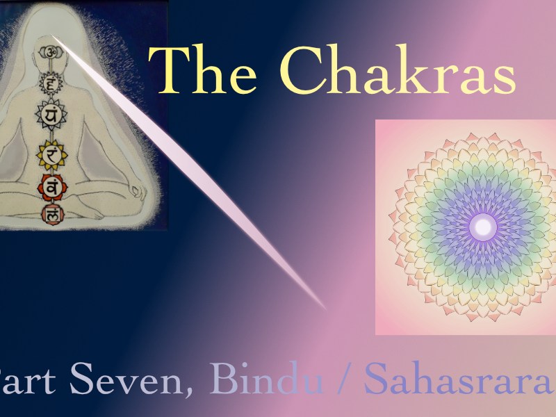 Bindu and Sahasrara